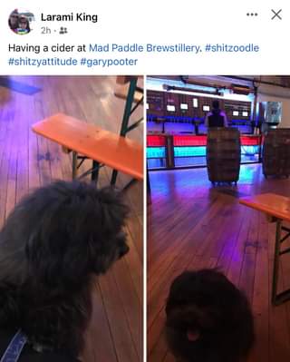 Thanks for supporting Mad Paddle Brewstillery!