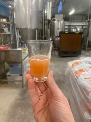 A fresh batch of Wicket Blood Orange being brewed today!